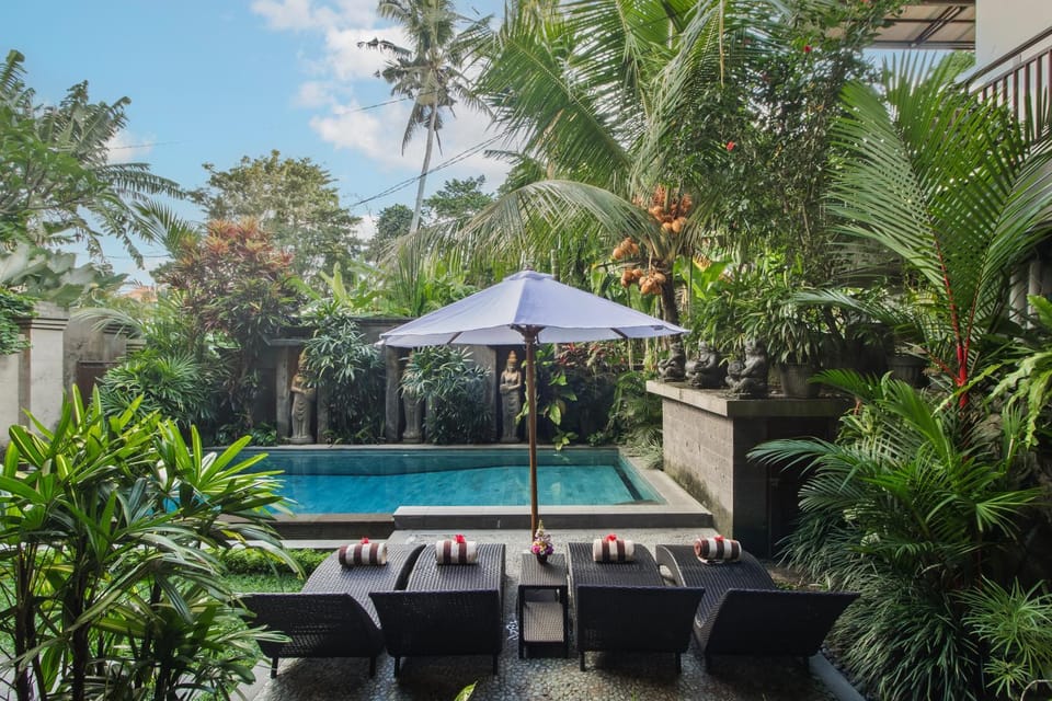 Day, Natural landscape, Garden, Garden view, Pool view, Swimming pool, sunbed