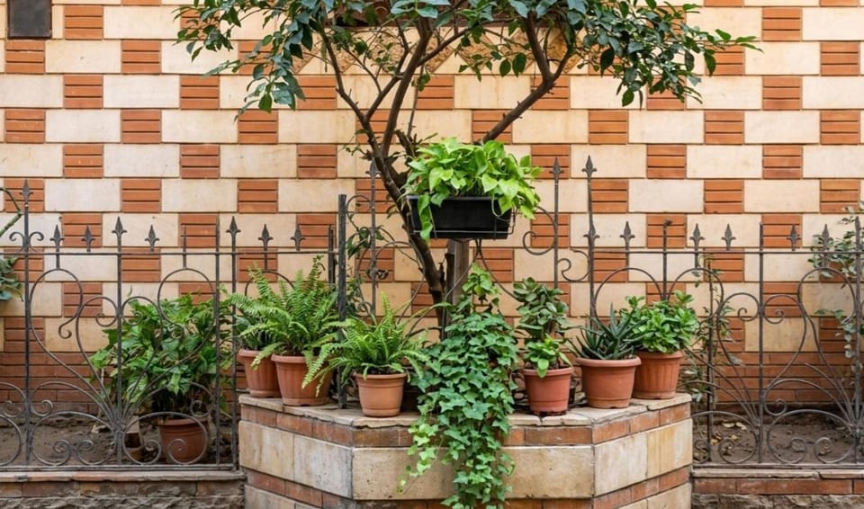 Garden, Garden view