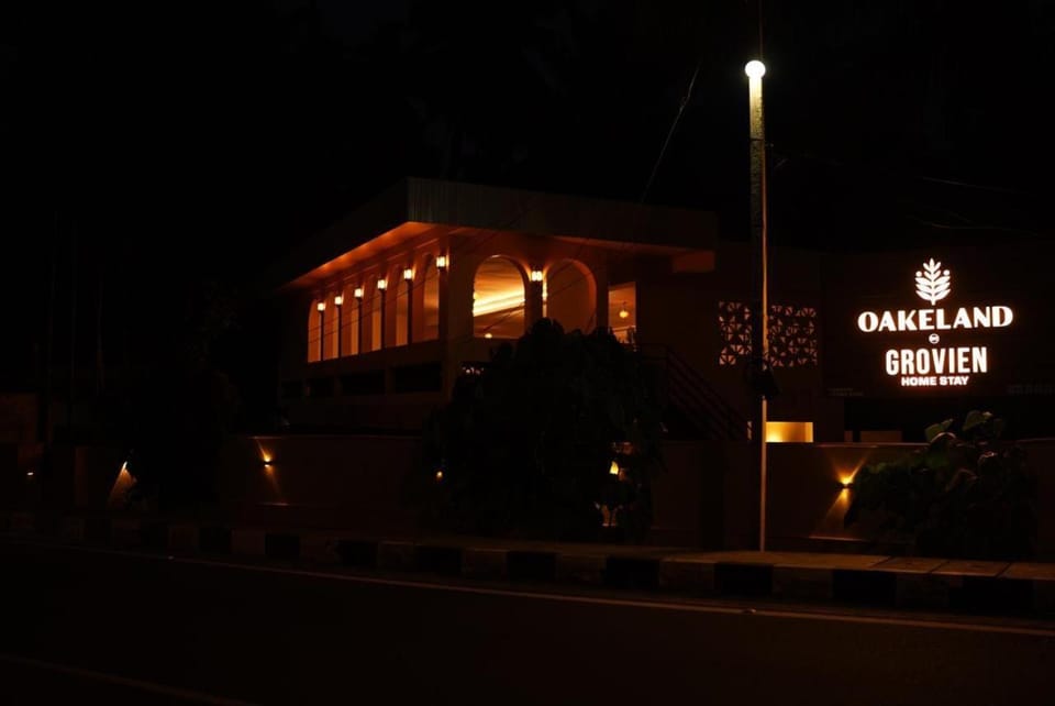 Night, Street view