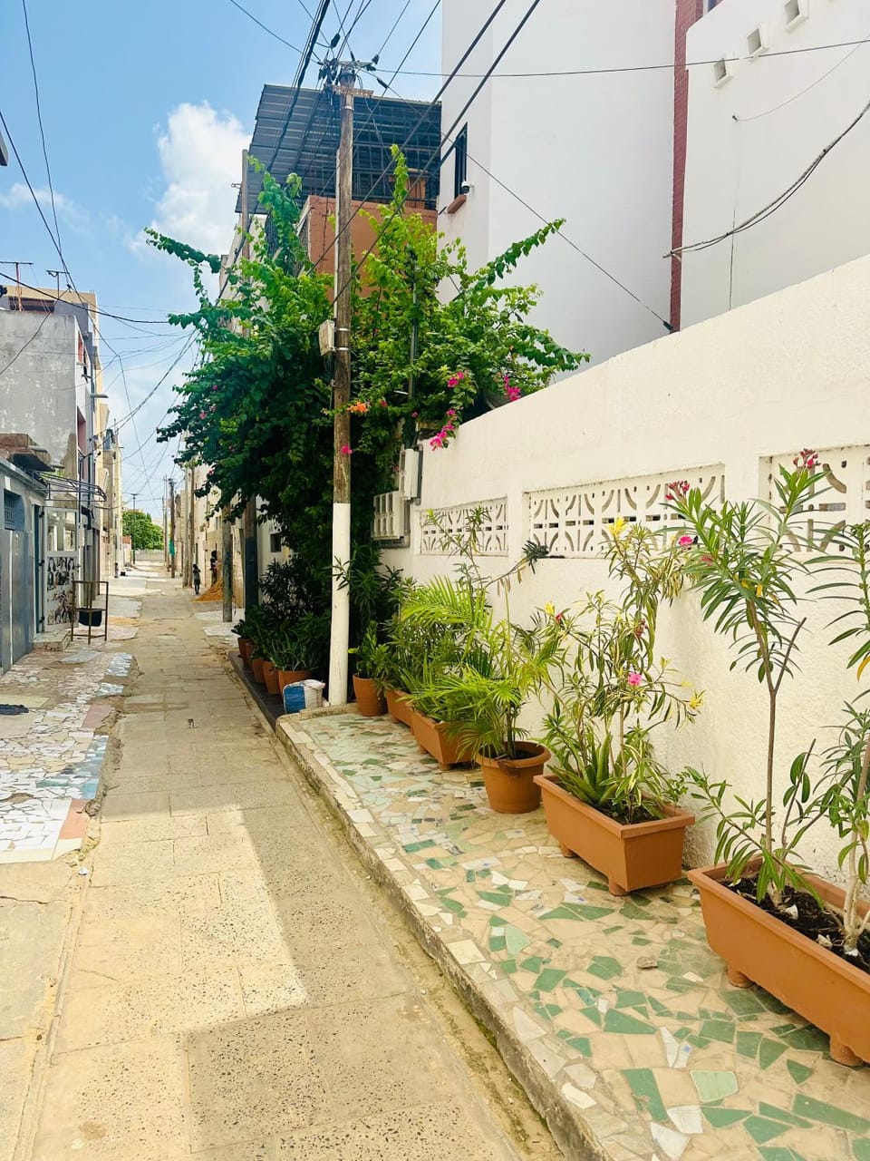 Property building