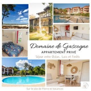 L'Esquirou Apartment in Biscarrosse