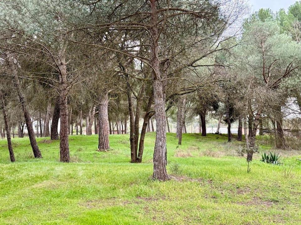 Casa Traspi en Ribera del Duero - Dehesa Peñalba Chalet in Castile and León