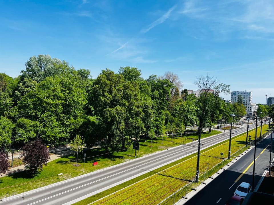 Spring, Day, Neighbourhood, Natural landscape, Street view, Location