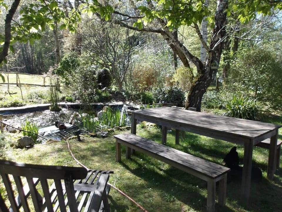 Spring, Day, Natural landscape, Garden, Garden view