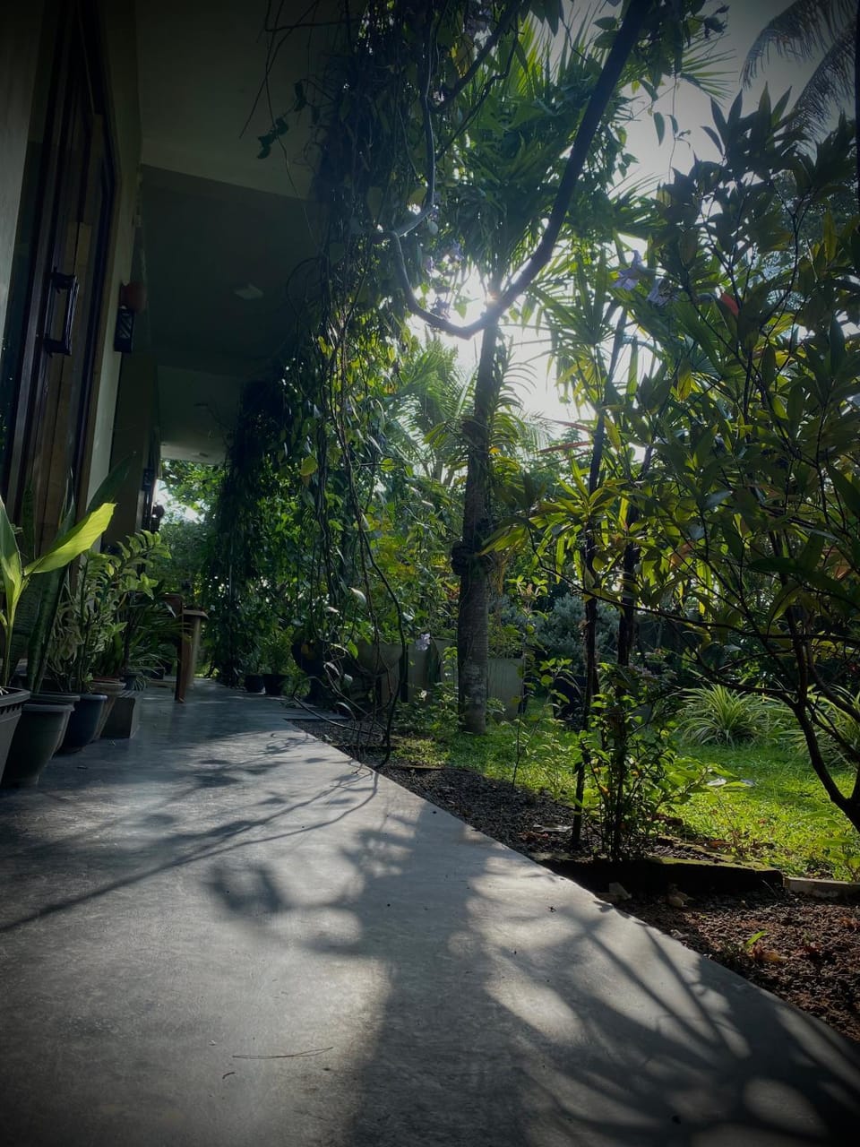 Mads Bird Villa Hikkaduwa Bed and Breakfast in Hikkaduwa