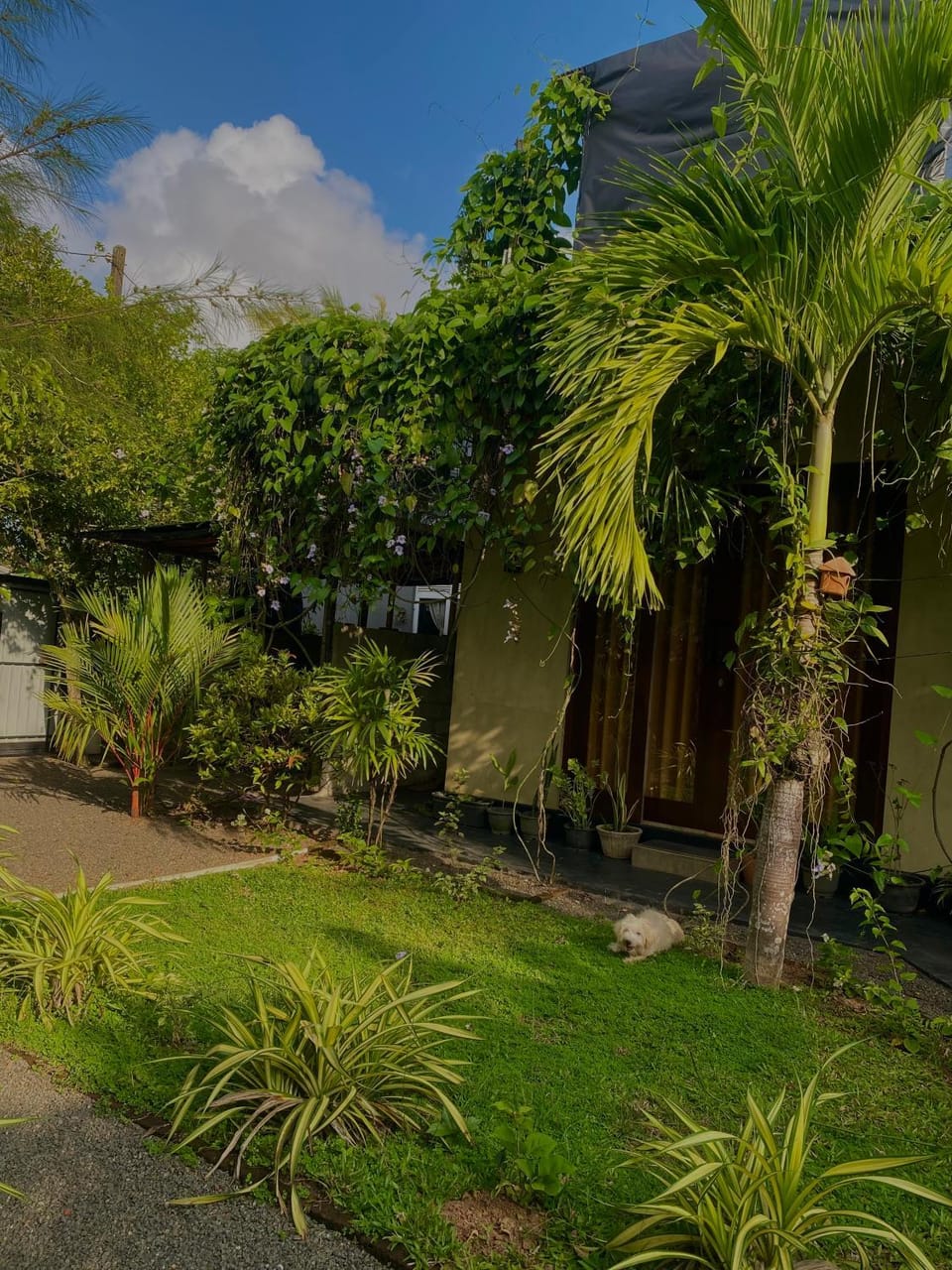 Mads Bird Villa Hikkaduwa Bed and Breakfast in Hikkaduwa