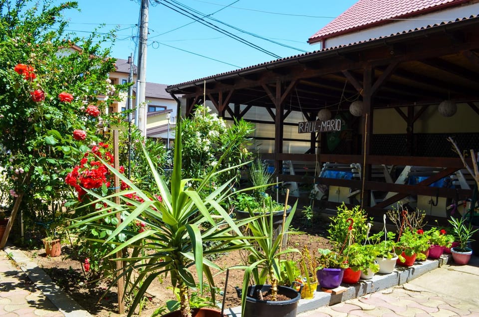 Garden, Balcony/Terrace
