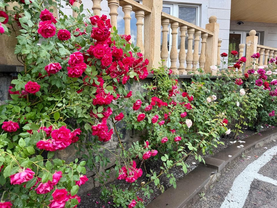 Spring, Day, Garden, Garden view