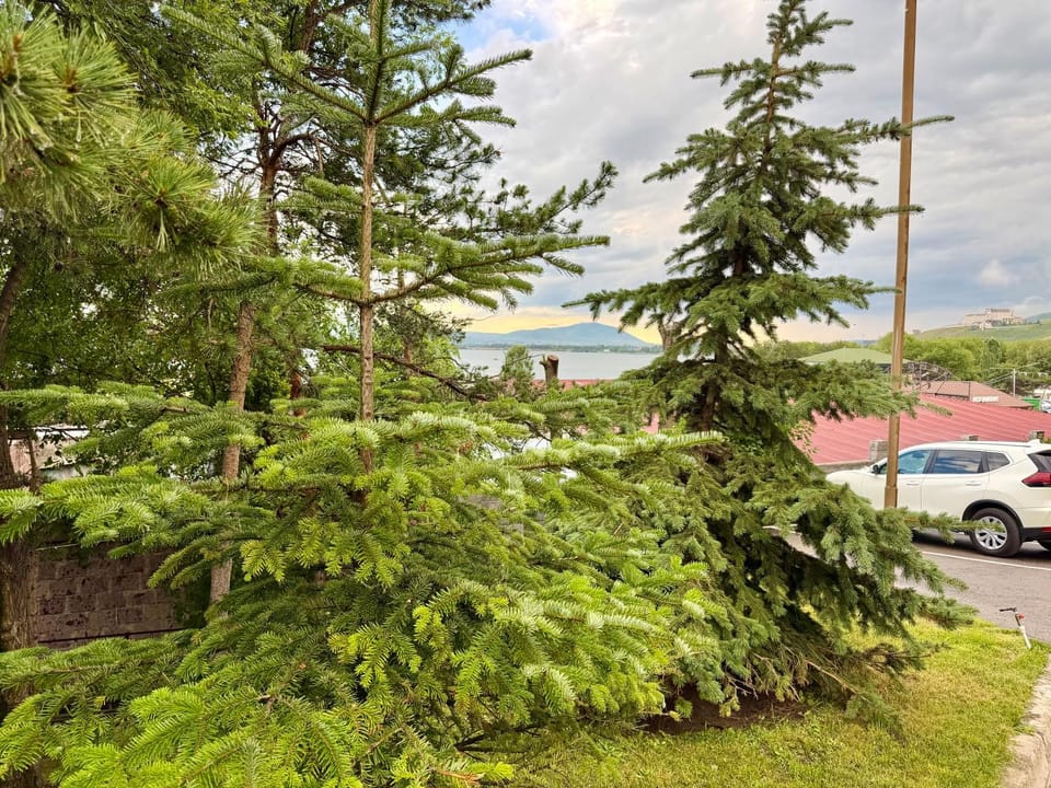 Spring, Day, Neighbourhood, Natural landscape, Garden, Garden view, Mountain view, Parking