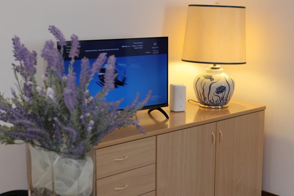 TV and multimedia