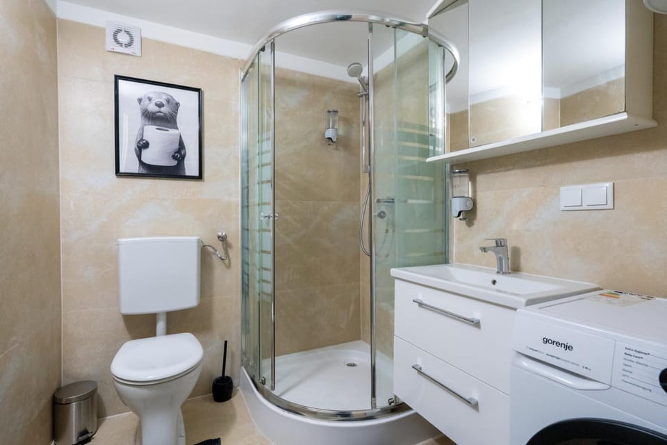Shower, Toilet, Bathroom, towels, washing machine