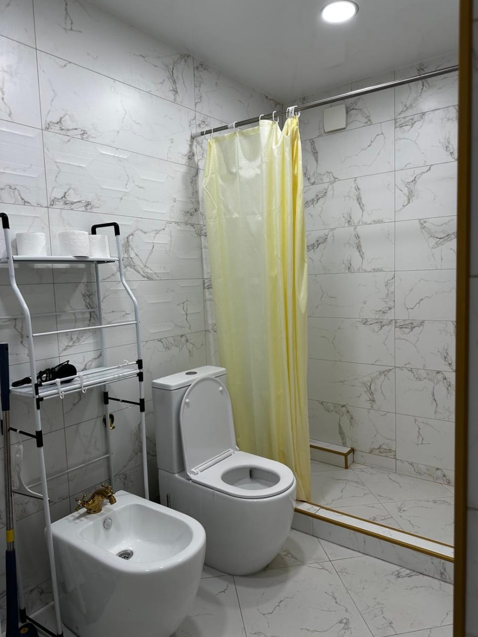 Shower, Toilet, Bathroom, bidet