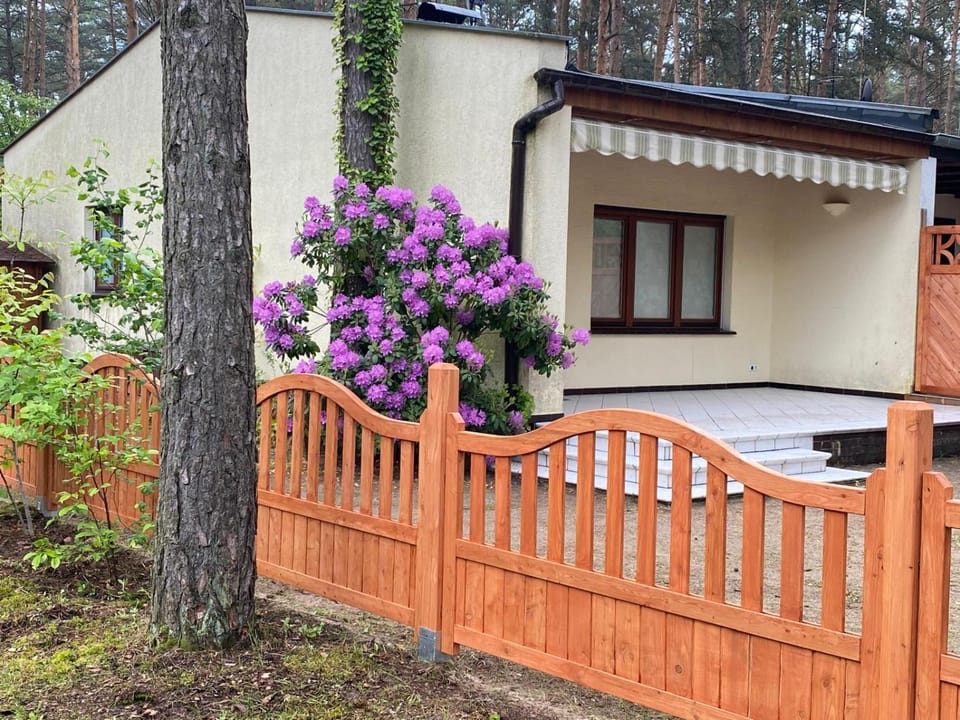 Property building, Day