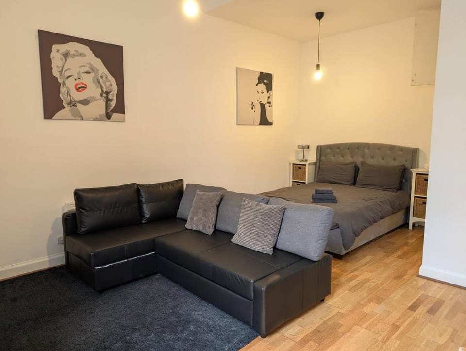 Stylish Edinburgh Studio House in Edinburgh