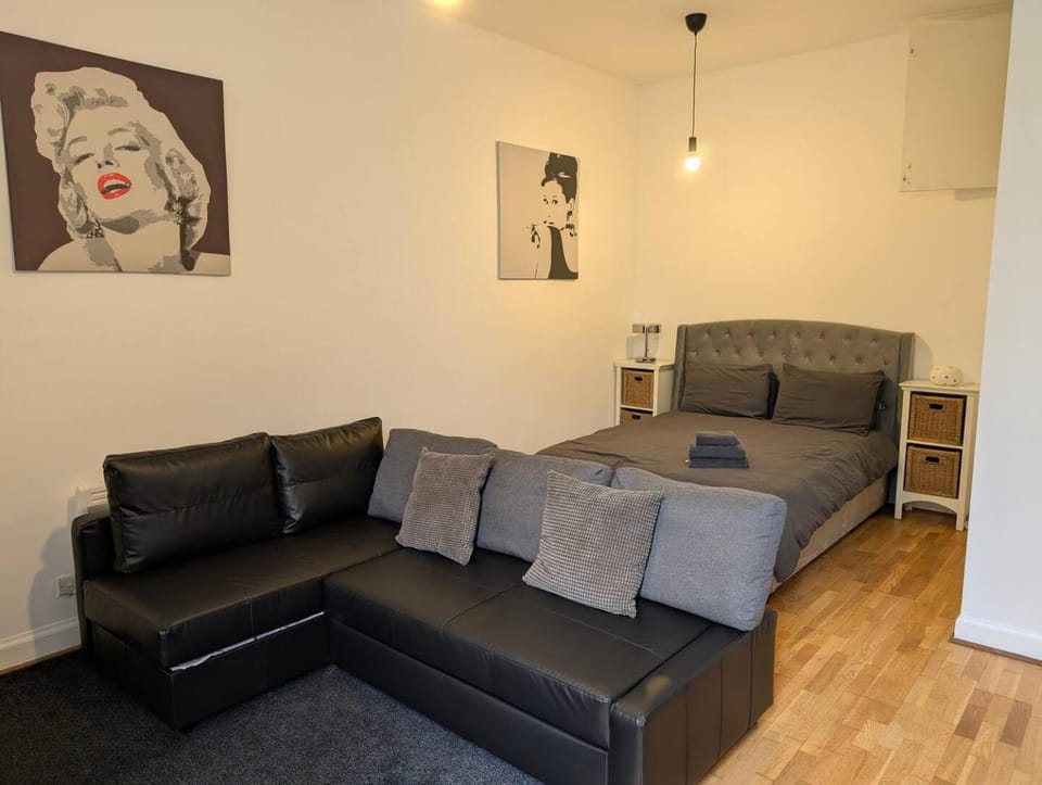 Stylish Edinburgh Studio House in Edinburgh