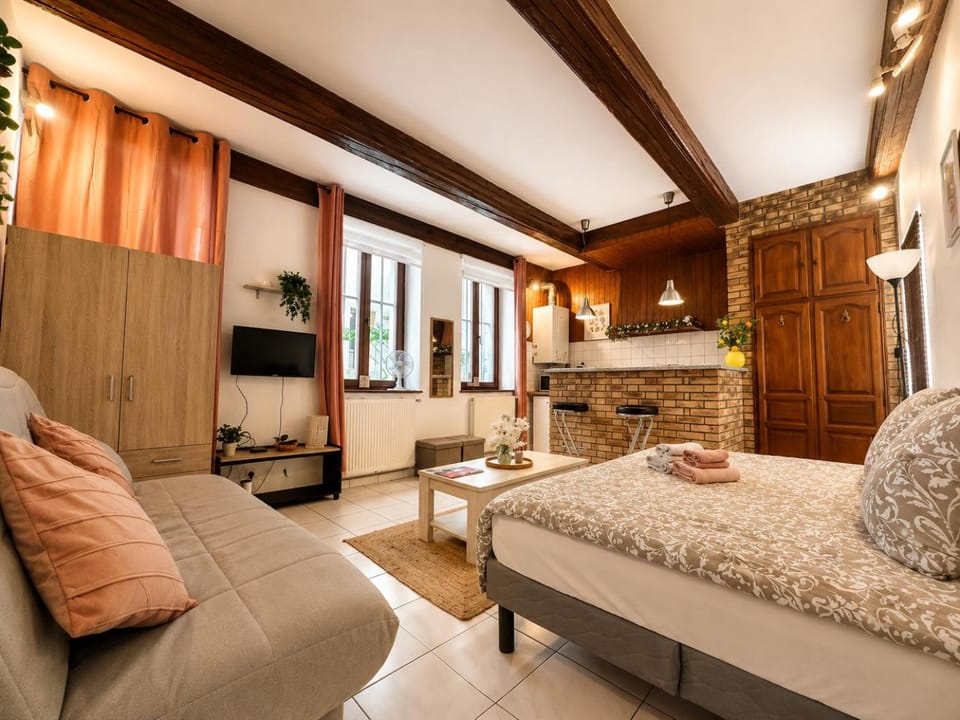 Le Provençal Apartment in Metz