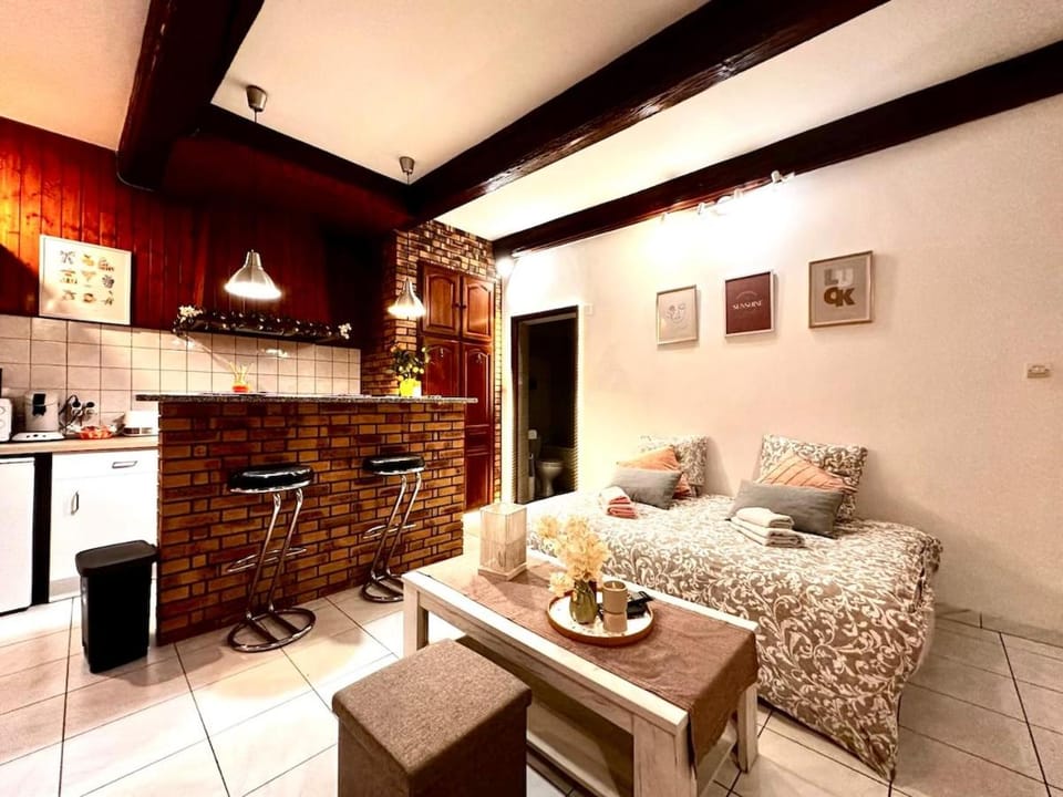 Le Provençal Apartment in Metz