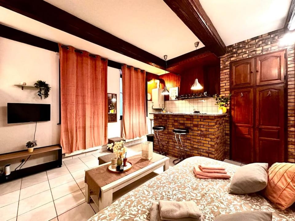 Le Provençal Apartment in Metz