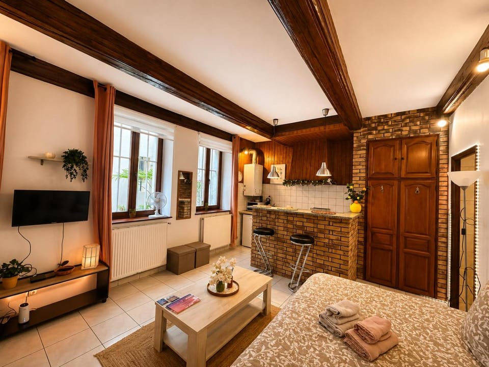 Le Provençal Apartment in Metz