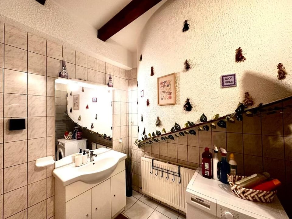 Le Provençal Apartment in Metz