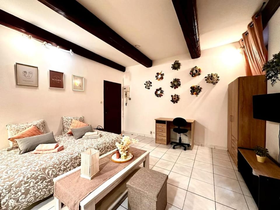 Le Provençal Apartment in Metz