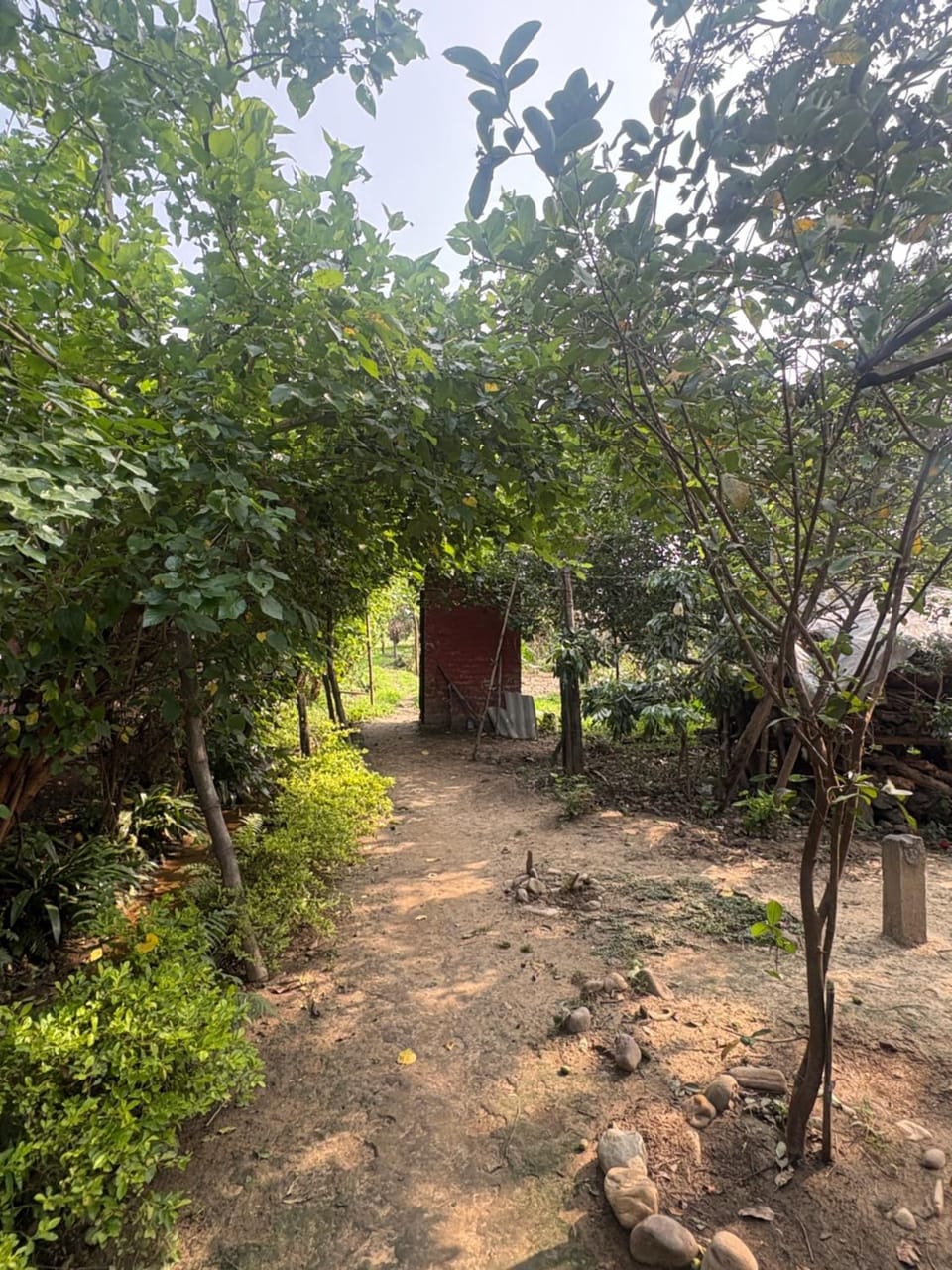 Mainali Farmhouse Homestay Vacation rental in Bagmati Province, Nepal