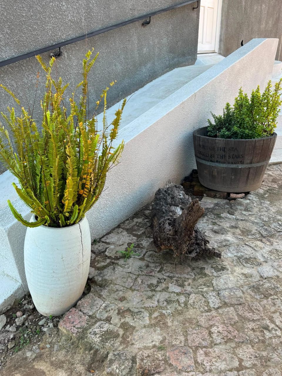 Grown-ups Getaway Guest House selfcatering House in Western Cape