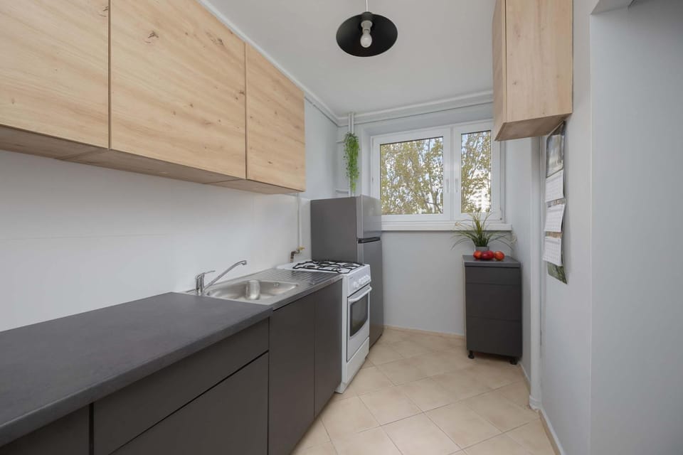 Kitchen or kitchenette, oven, pet friendly, stove
