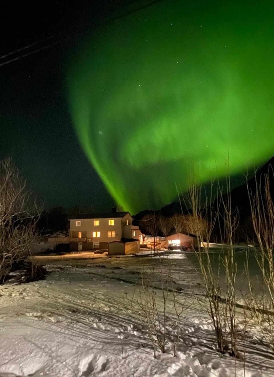 Property building, Night, Winter
