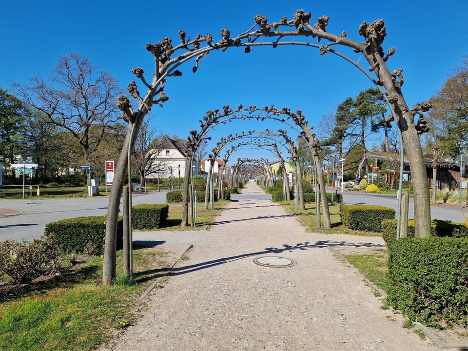 Neighbourhood, Natural landscape