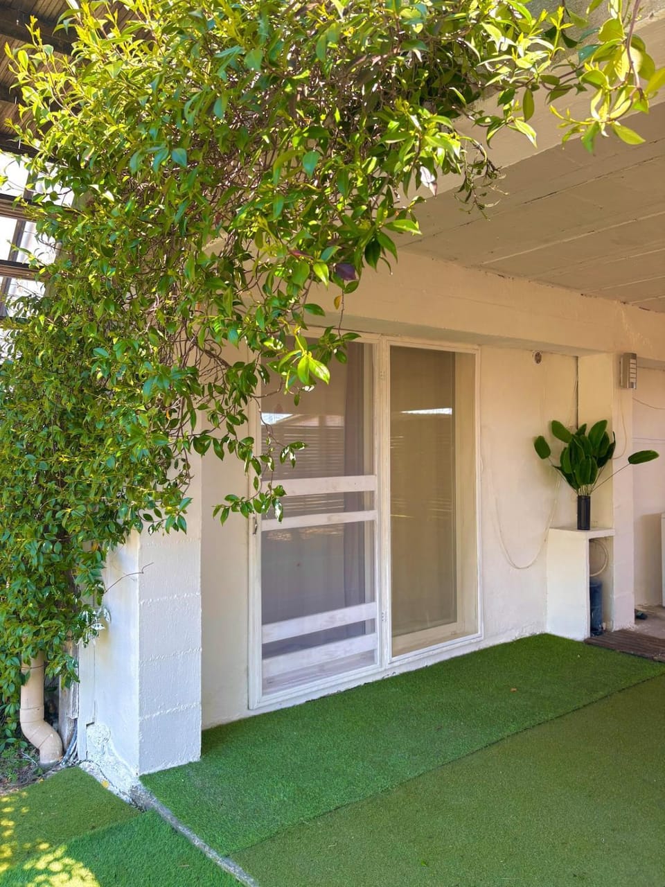 Garden view