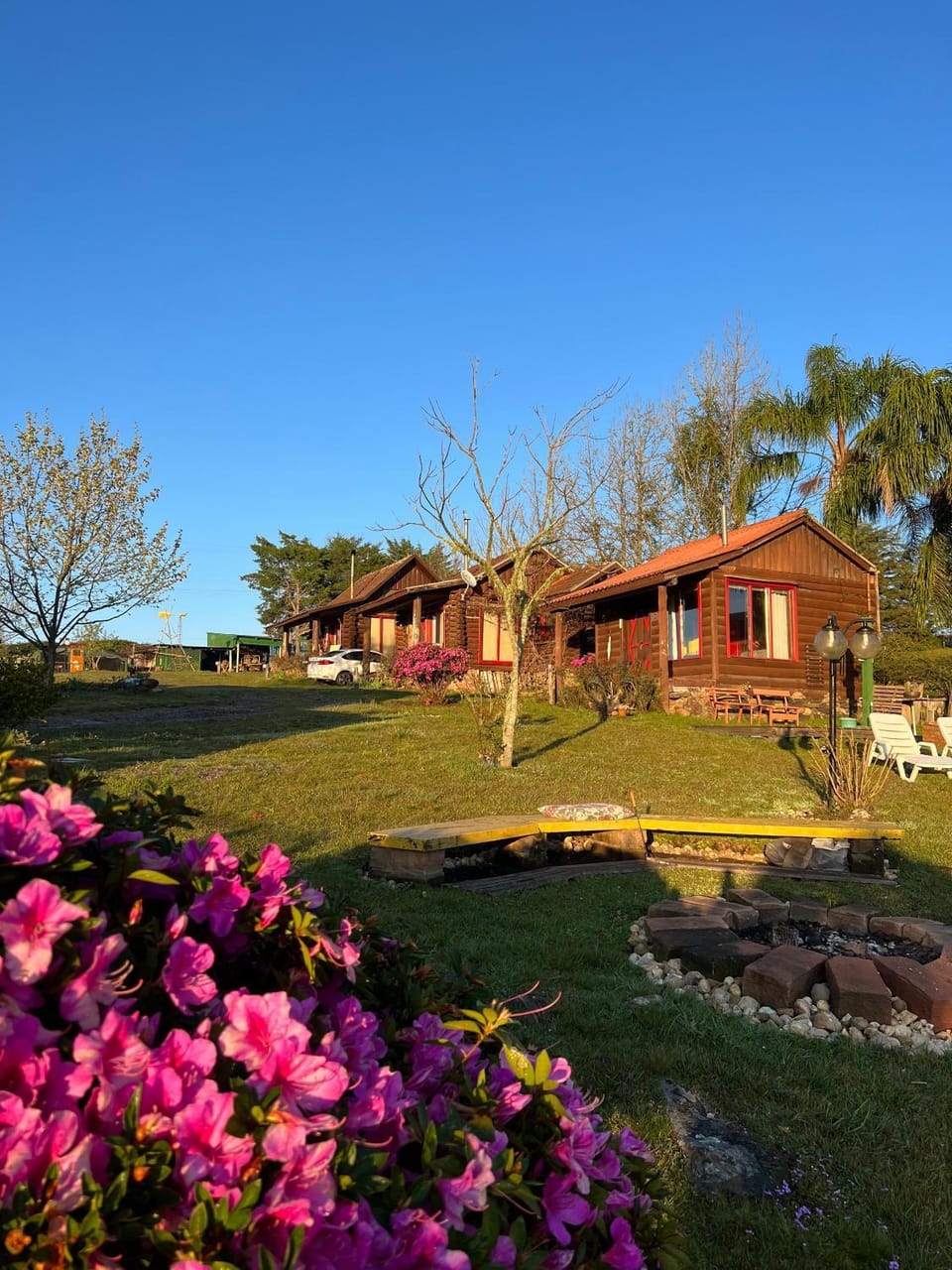 Natural landscape, Garden