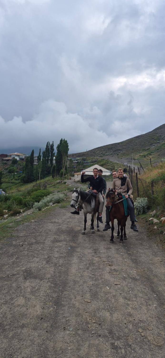 Day, People, Natural landscape, Animals, Mountain view, group of guests