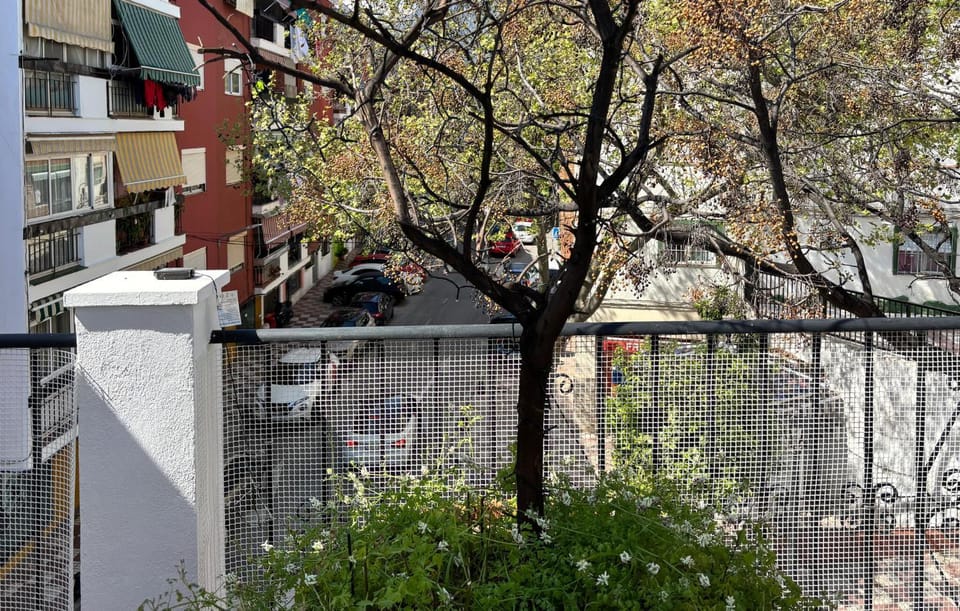 View (from property/room)