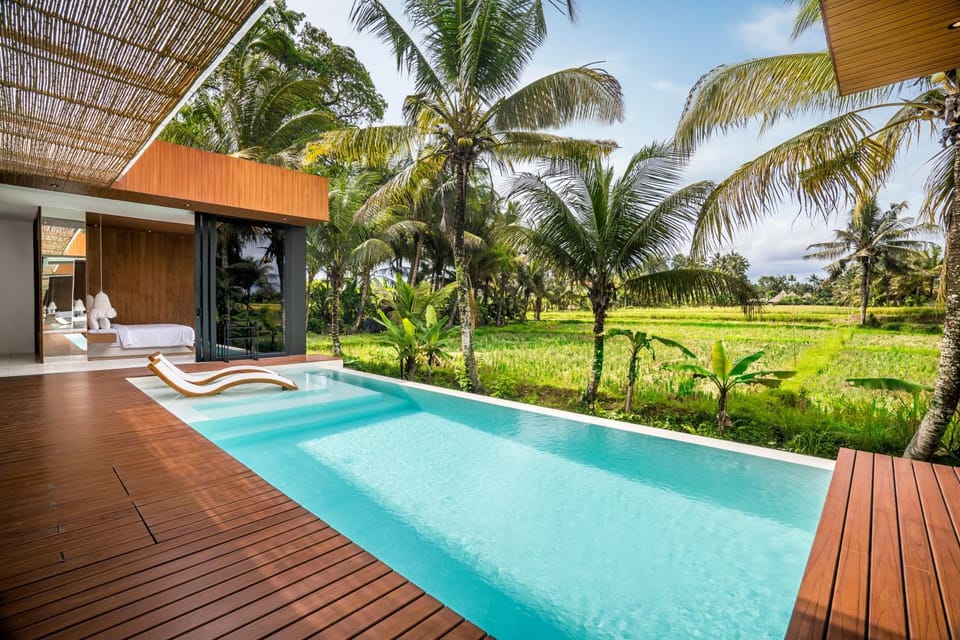 Swimming pool, Swimming pool