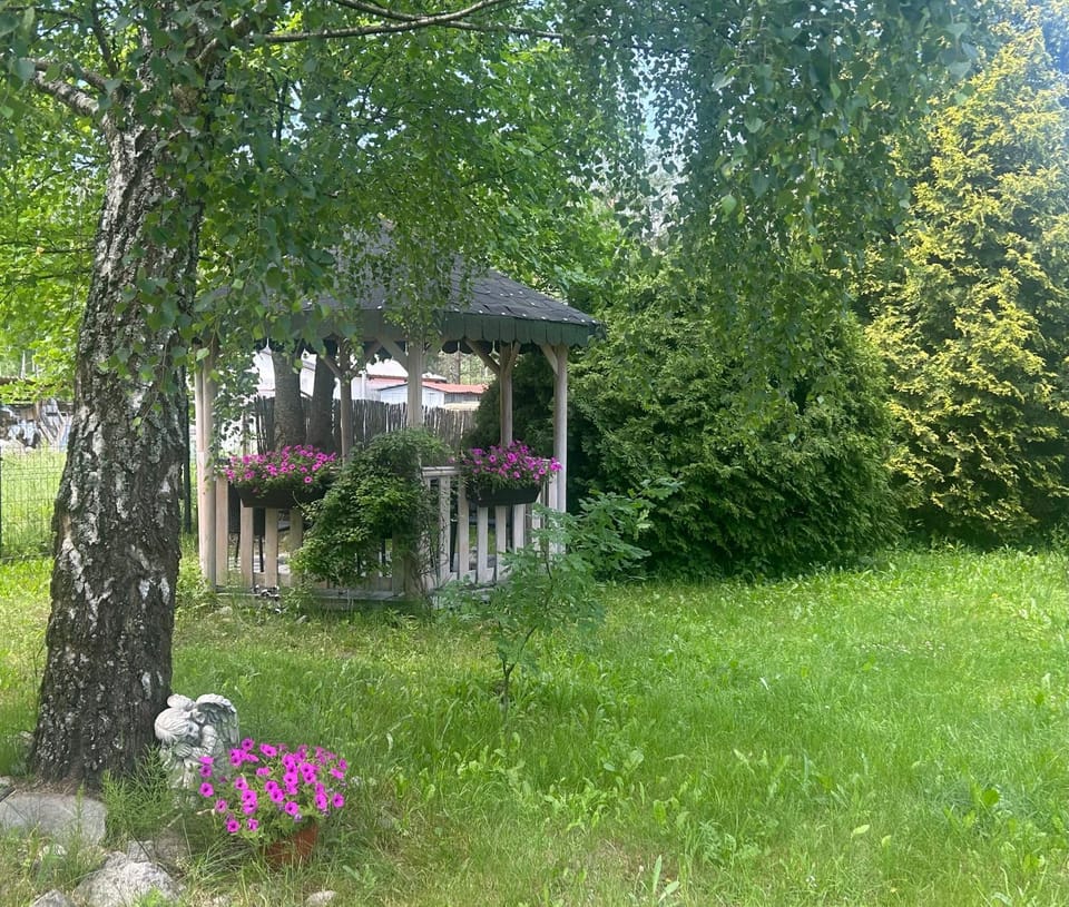 Spring, Natural landscape, Garden, Garden, Garden view