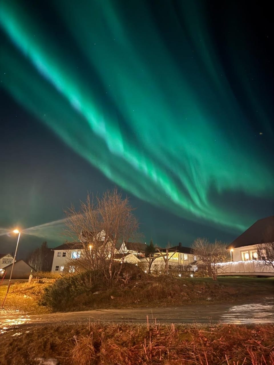 Central 6a Lofoten Apartment in Lofoten