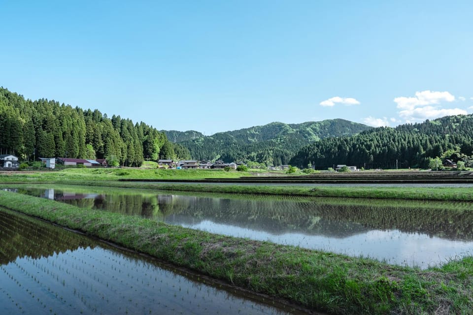 Natural landscape