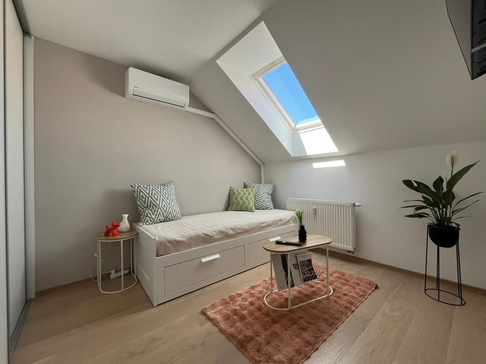 Living room, Photo of the whole room, air conditioner