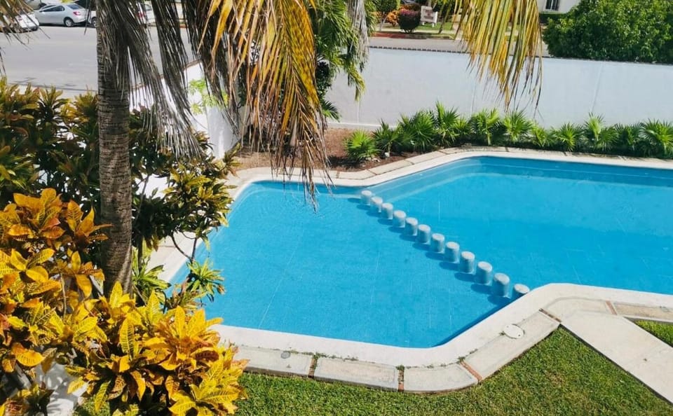 Garden, Pool view, Swimming pool