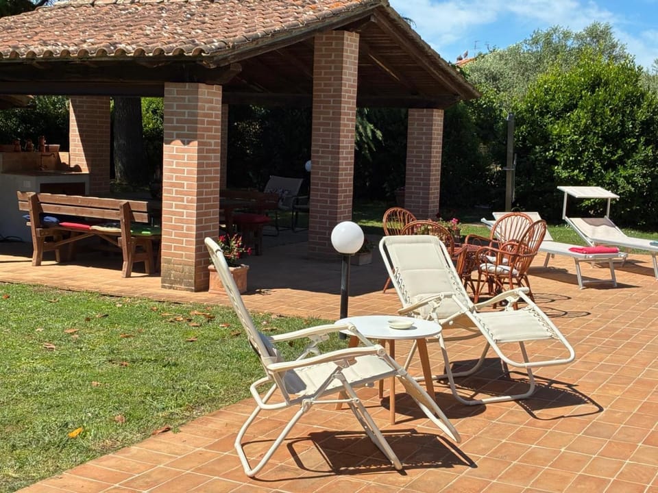 Patio, Garden, Garden view