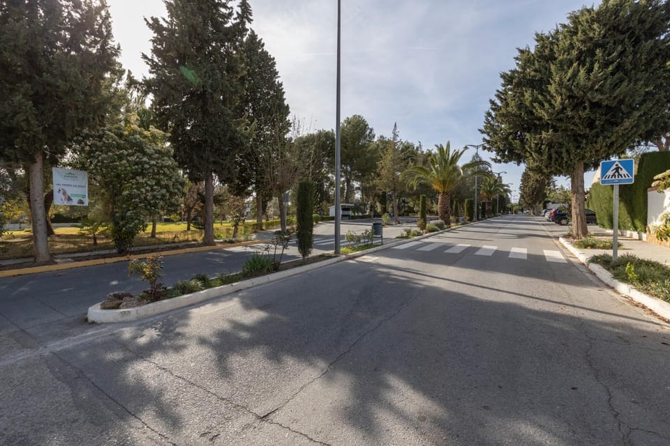 Neighbourhood, Street view