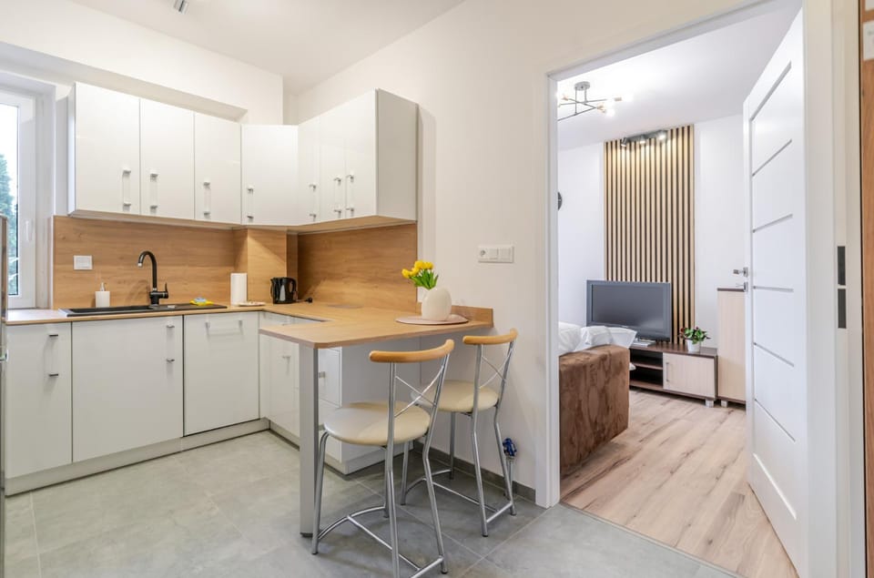 Kitchen or kitchenette, Living room, Seating area, Dining area, stove