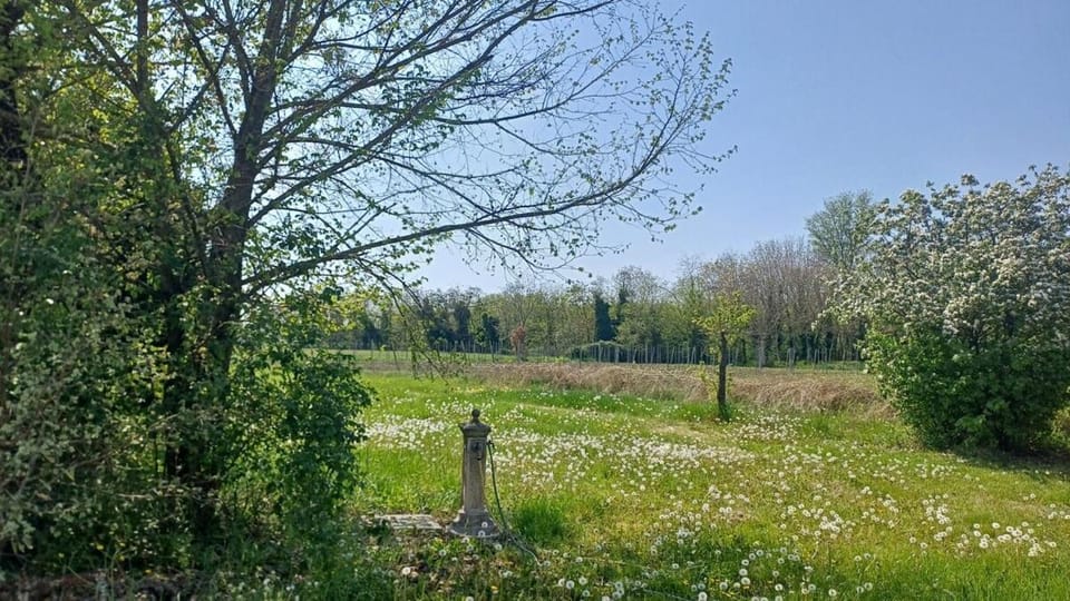 Fattoria degli Orsi Relax e Parcheggio Coperto Apartment in Emilia-Romagna