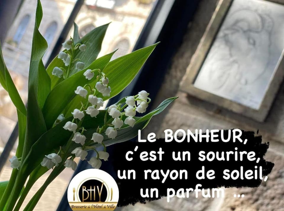 Restaurant/places to eat, Lounge or bar