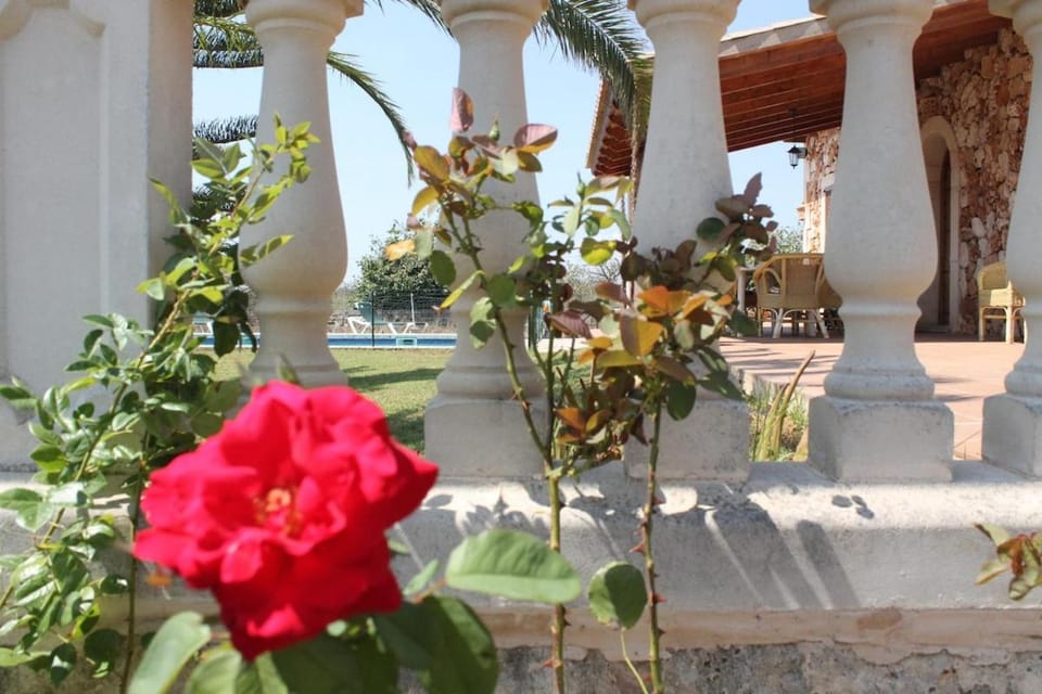 Charming finca with huge private pool Porto Cristo House in Llevant