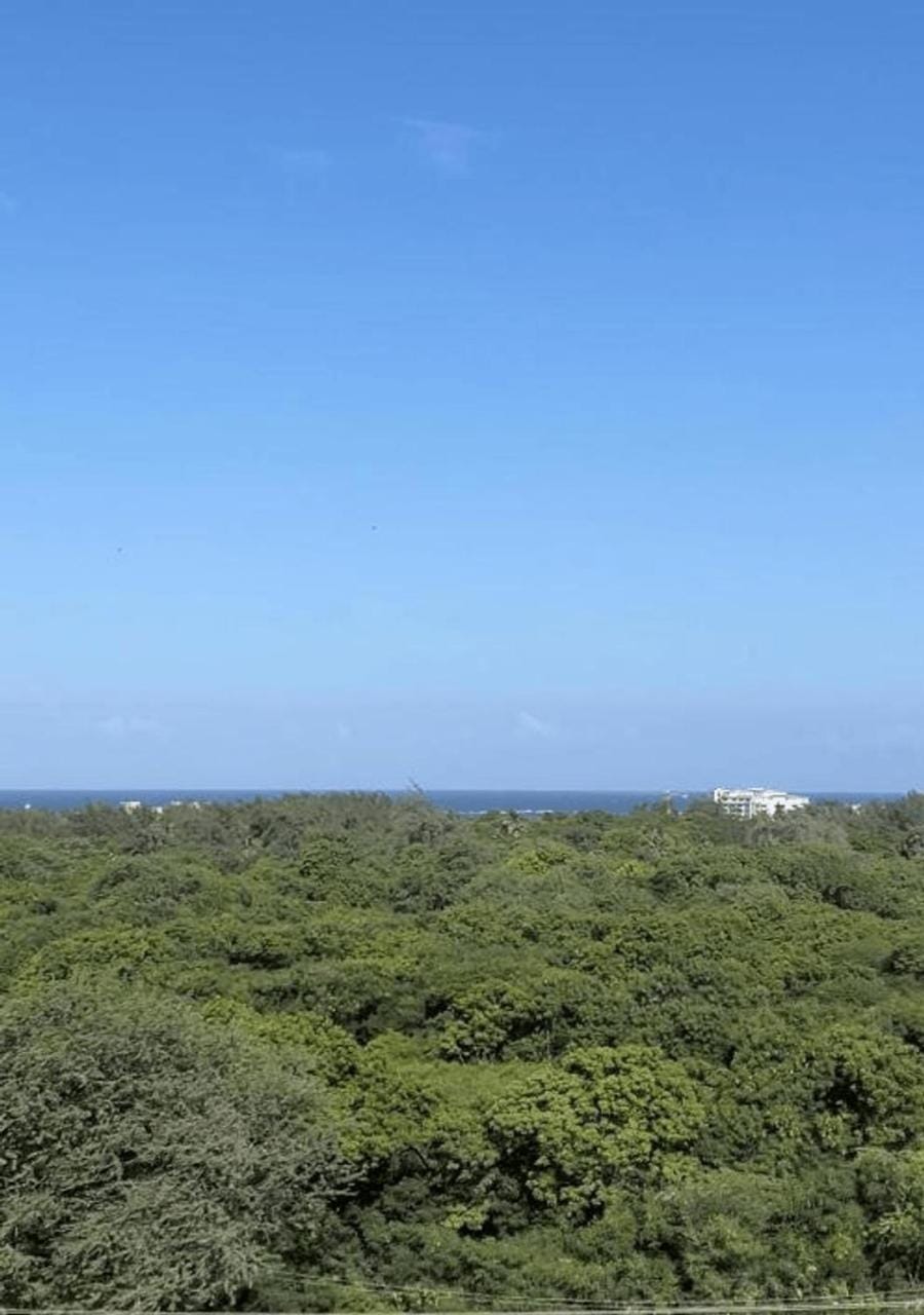 Natural landscape, View (from property/room)