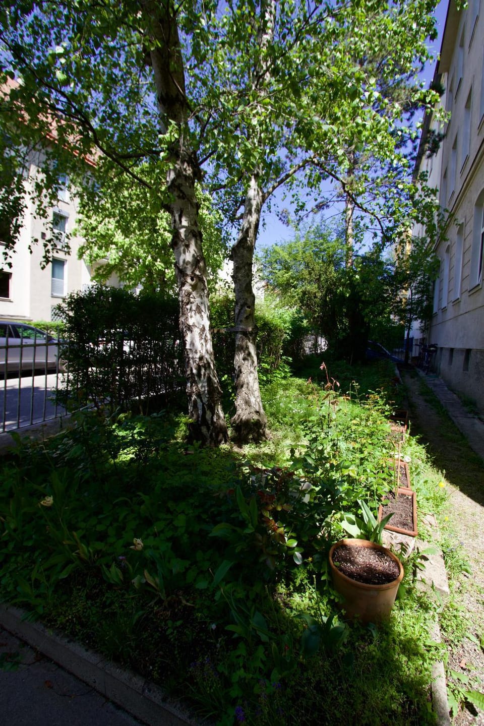 Property building, Garden