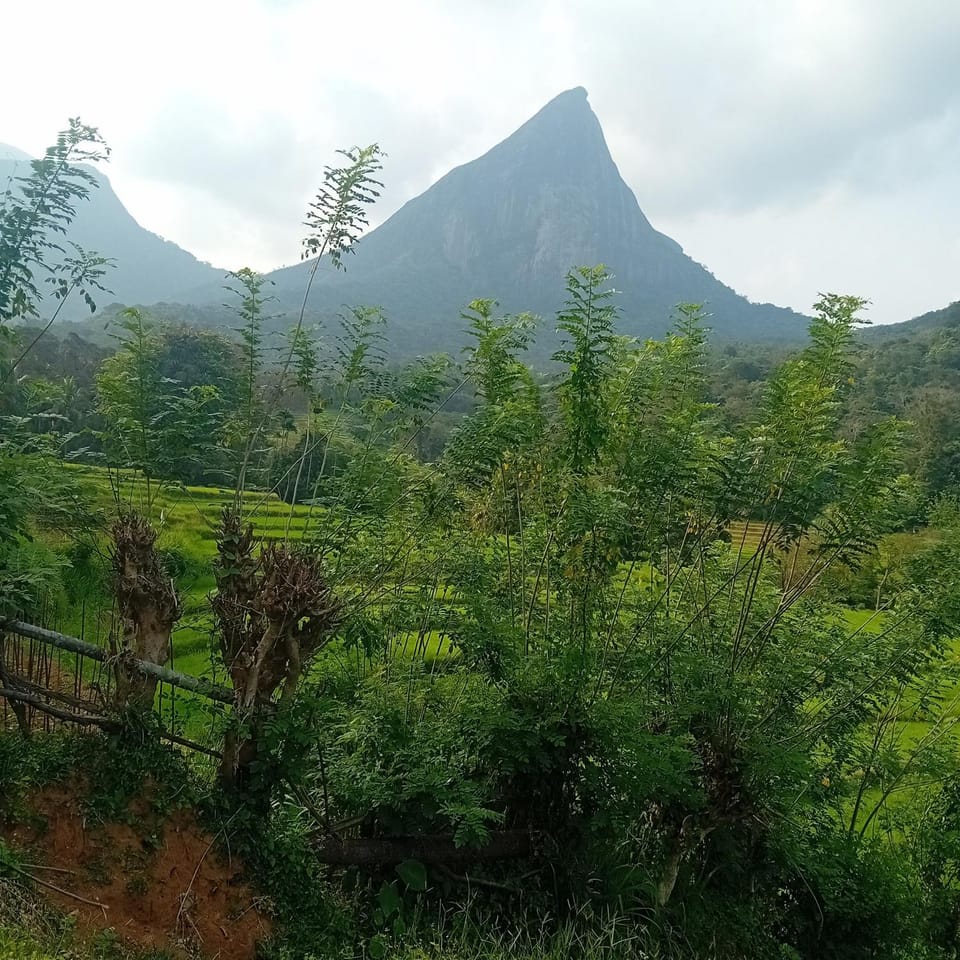 Meemure village stay Apartment in Central Province