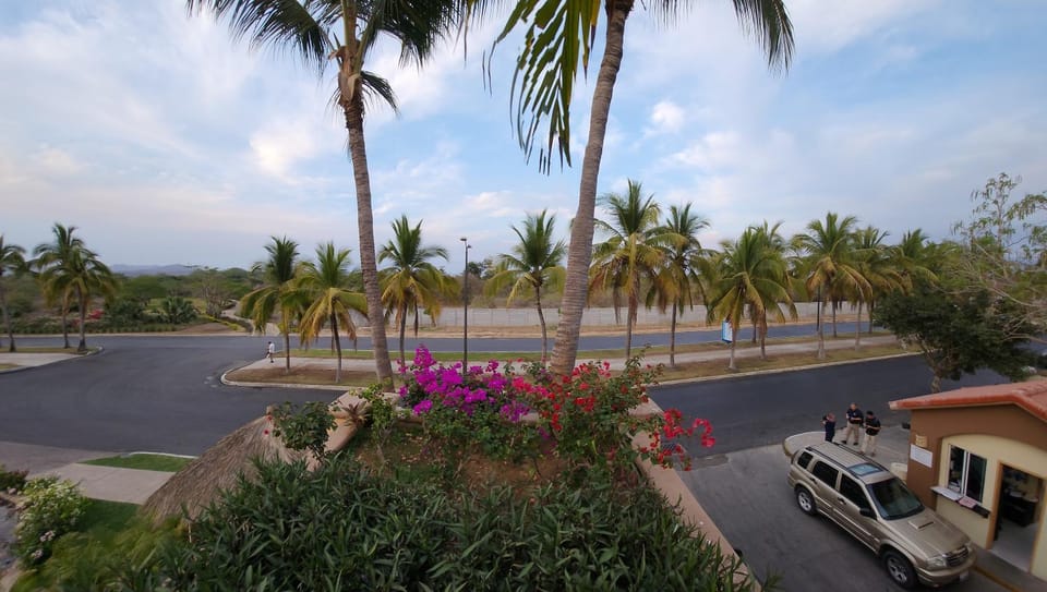 Flamingos One Week Stays at Villa del Palmar Nuevo Vallarta Hotel in State of Nayarit
